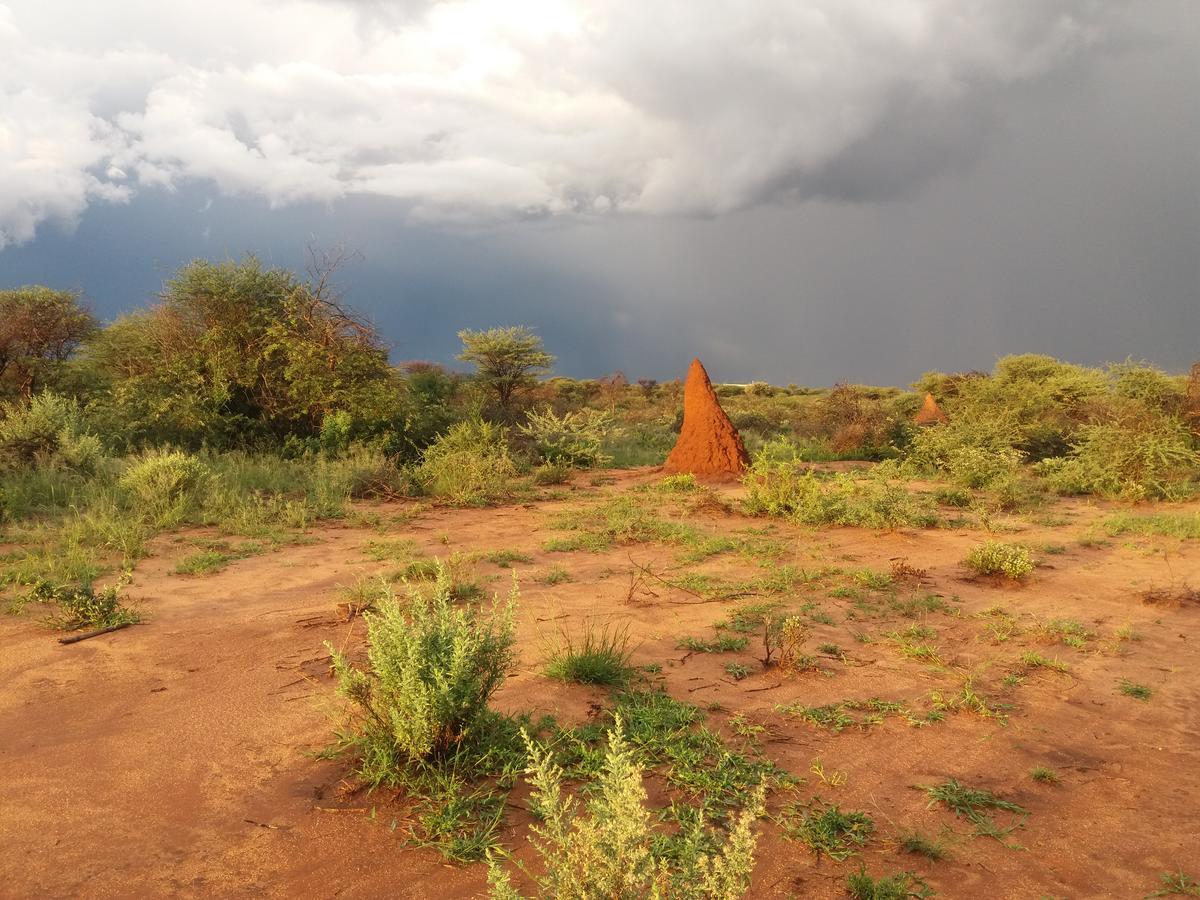 Lion'S Den Guesthouse Otjiwarongo Exterior photo