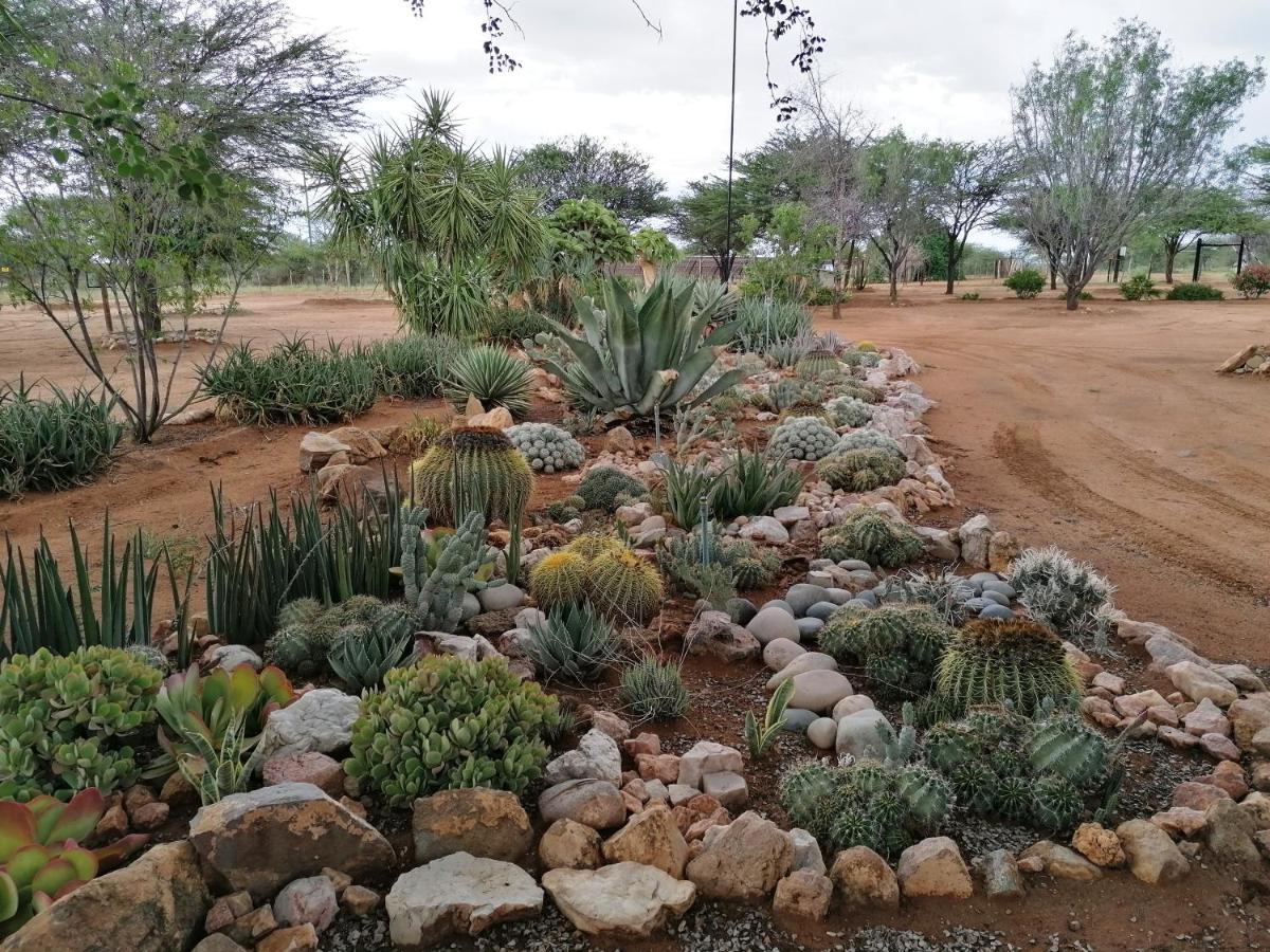 Lion'S Den Guesthouse Otjiwarongo Exterior photo